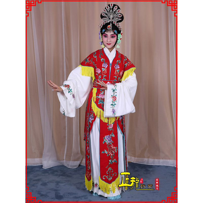 天津戏曲服装舞台演出红娘装